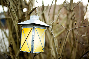 Image showing Forest Lantern