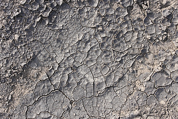 Image showing Dried cracked soil
