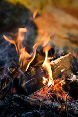 Image showing Campfire Detail