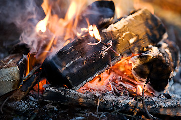 Image showing Campfire Detail