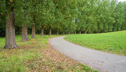 Image showing rural avenue