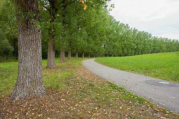 Image showing rural avenue