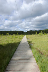 Image showing Footbridges rigt over