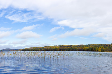 Image showing Panorama of wild forest lake in autumn