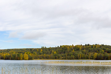 Image showing Northern forest lake in autumn
