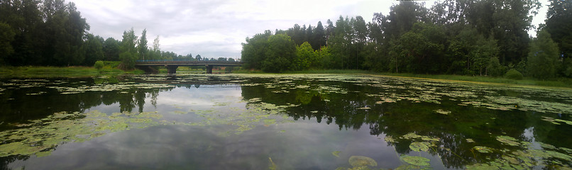 Image showing summer Lake stillness