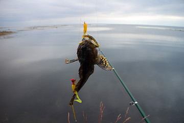 Image showing sea fishing the Arctic circle