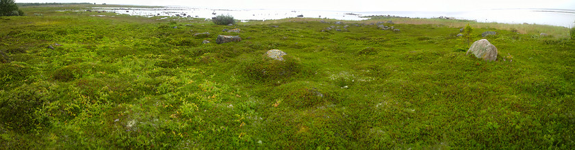 Image showing  shores of the white sea panoramic