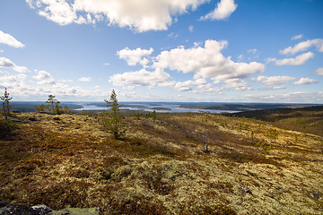 Image showing Mountain tundra in Lapland