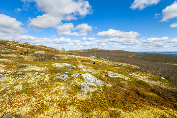 Image showing Mountain tundra in Lapland