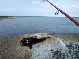 Image showing sea fishing the Arctic circle