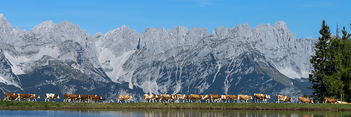 Image showing Wilder Kaiser, Tyrol, Austria