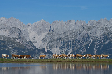 Image showing Wilder Kaiser, Tyrol, Austria