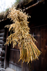 Image showing Bird Feeder