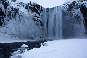 Image showing Seljalandsfoss, Iceland