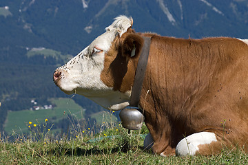 Image showing Wilder Kaiser, Tyrol, Austria