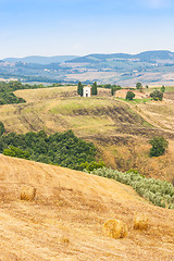 Image showing Countryside in Tuscany