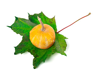 Image showing Decorative small pumpkin on green maple-leaf