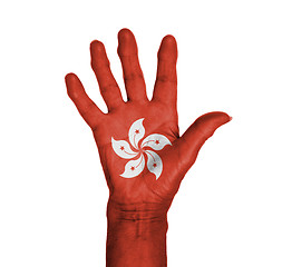 Image showing Palm of a woman hand, painted with flag