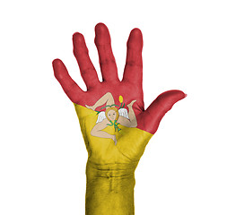 Image showing Palm of a woman hand, painted with flag