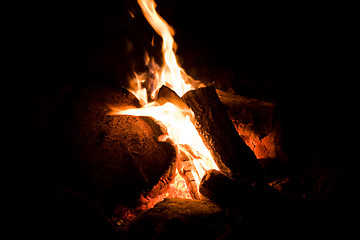Image showing Camp Fire Detail