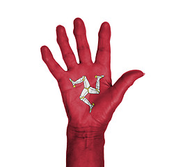 Image showing Palm of a woman hand, painted with flag