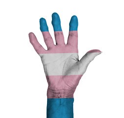 Image showing Palm of a woman hand, painted with flag