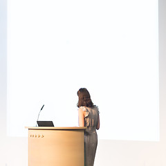 Image showing Business woman making business presentation.