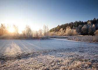 Image showing Winter Landscape