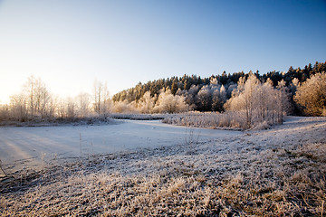 Image showing Winter Landscape