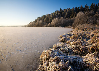 Image showing Lake Landscape in Winter