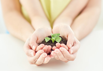 Image showing close up of child and parent hands holding sprout