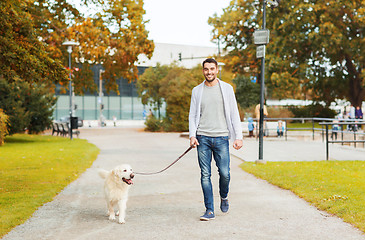 Image showing happy man with labrador dog walking in city park