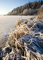 Image showing Lake Landscape in Winter