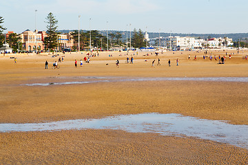 Image showing abstract in   sea africa   and  bird