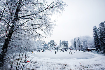 Image showing Winter Fun