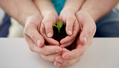 Image showing close up of father and girl hands holding sprout