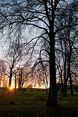 Image showing Sunset in Park