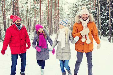 Image showing group of smiling men and women in winter forest