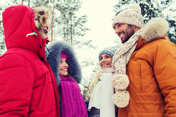 Image showing group of smiling men and women in winter forest