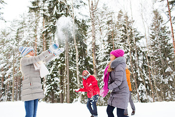 Image showing group of smiling men and women in winter forest