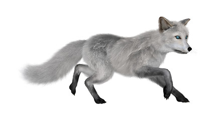 Image showing Arctic Fox