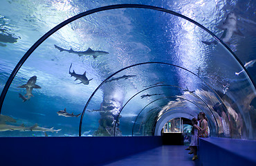 Image showing Children in a water tunnel