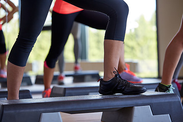 Image showing close up of women exercising with steppers in gym