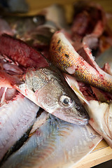 Image showing Fish Guts detail
