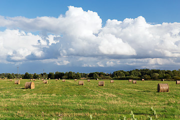 Image showing haystacks or hay rolls on summer field