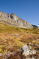 Image showing Norwegian Mountain Detail