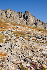 Image showing Norwegian Mountain Detail