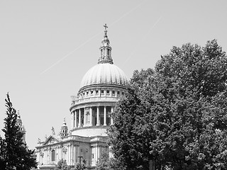 Image showing Black and white St Paul Cathedral in London