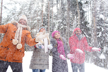 Image showing group of smiling men and women in winter forest